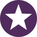 purple-solid-circle-star-5.png